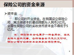 保險公司的資金運(yùn)用與投資管理